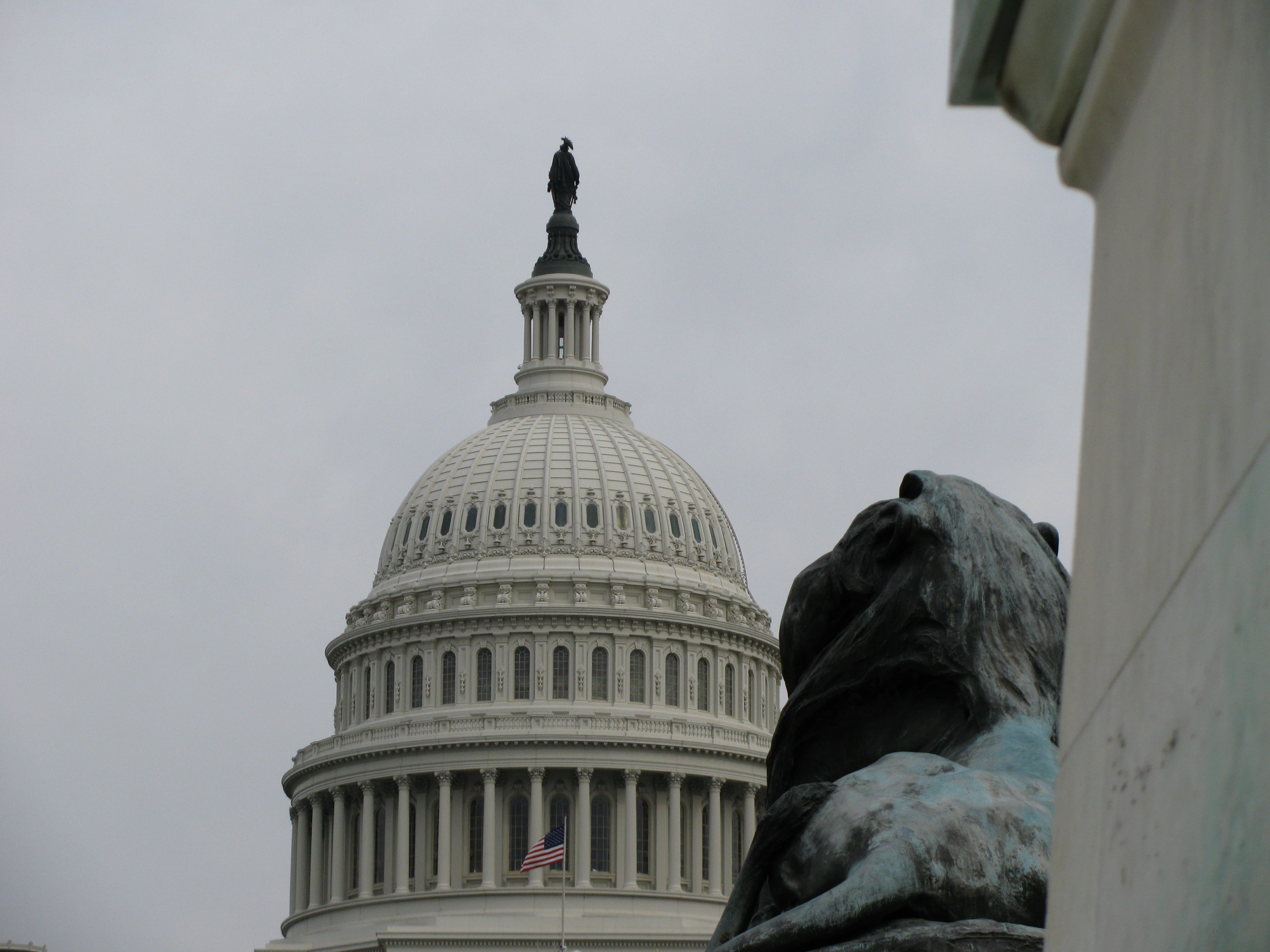 Photo of the U.S. Capitol dome, a U.S. flag, and the statute of a  lion