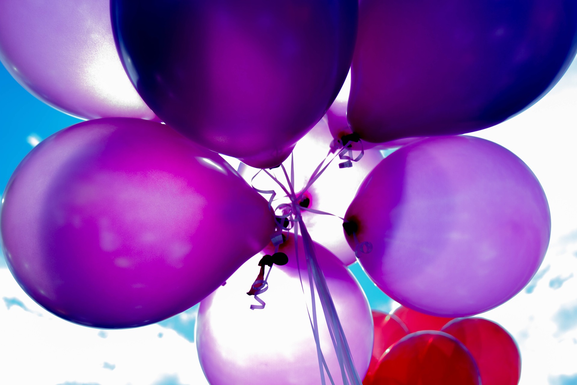 Picture of several purple balloons tied together.