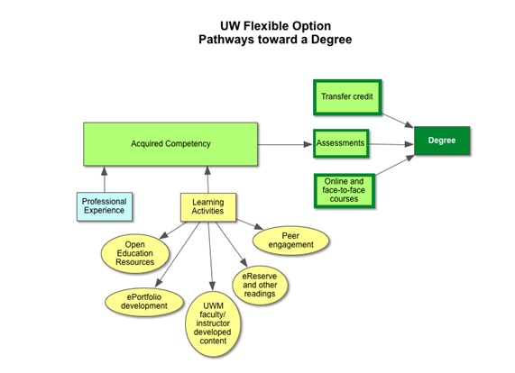 Diagram of the different pathways available to students pursuing the flexible degree option.