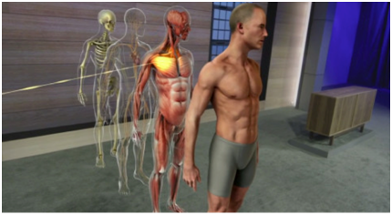 Holographic image of a male body shown, from a skeleton form to representation of muscular system.