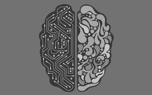 Black and gray picture of a brain that symbolizes artificial intelligence.