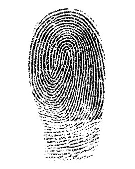 Picture of a single fingerprint in blank.