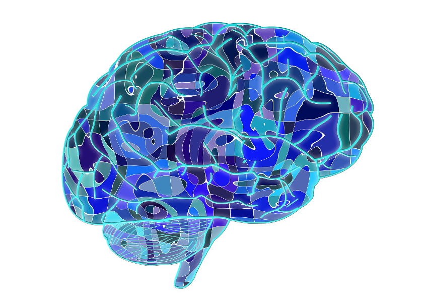 Illustration showing a stylized drawing of a brain.