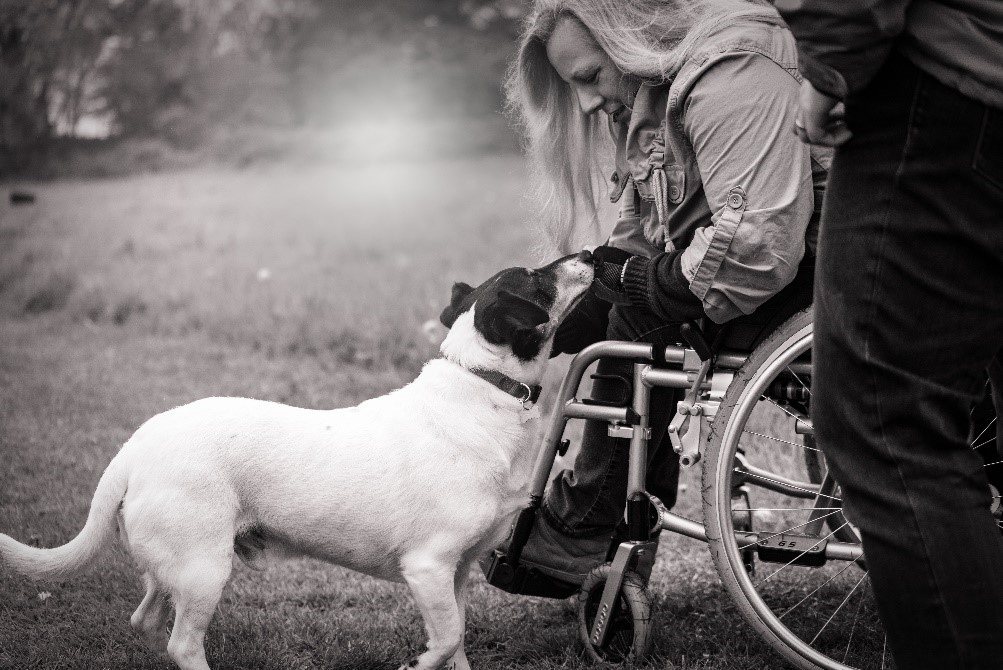 Black and white photo of a woman using a wheelchair, reaching down to pet a dog.