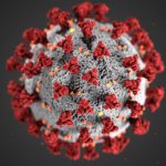 The coronavirus close up