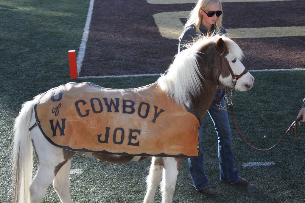 A pony ith a cover that says Cowboy Joe on a foodball field