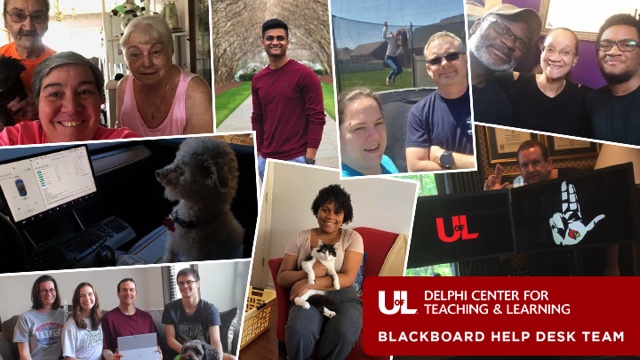 photo collage of the blackboard help desk team at UL