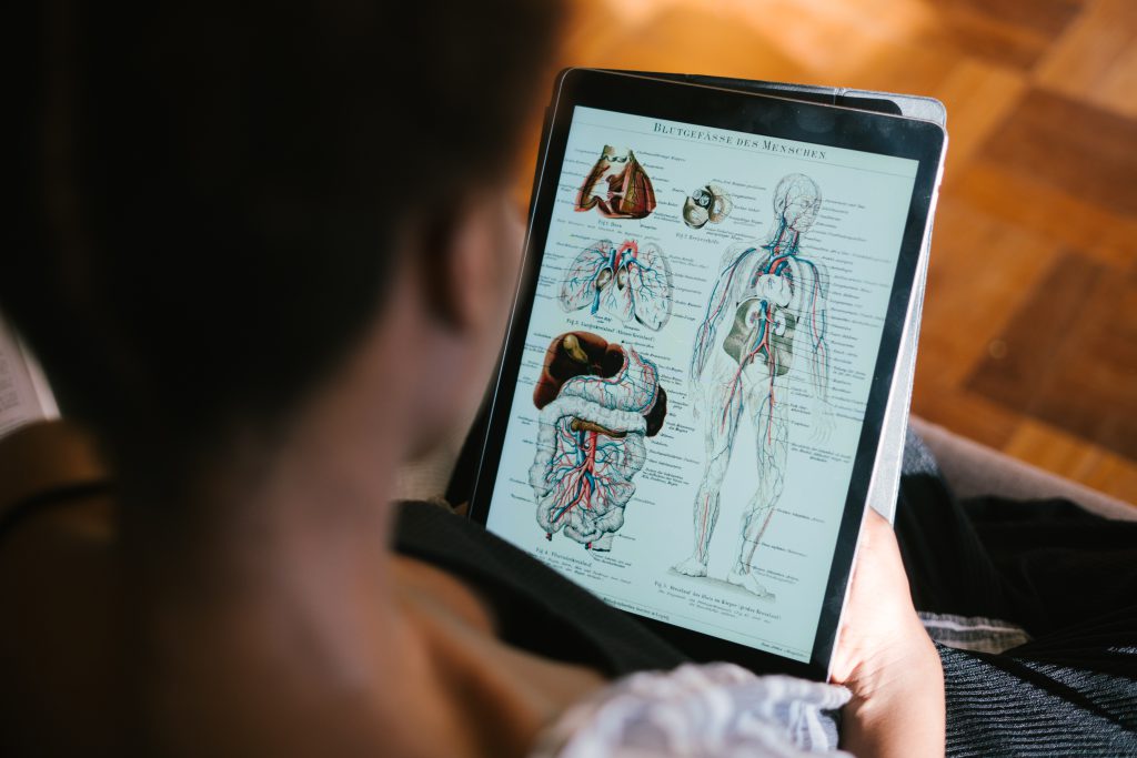 photo of person studying anatomy on a tablet