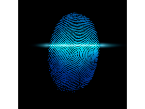 Graphic of a fingerprint scan