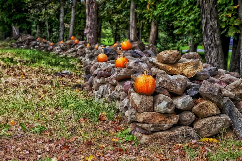 Pumpkins on a stone fence lining a leaves covered path