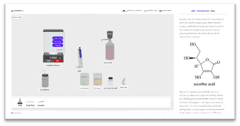 Screen shot of the online lab workbench