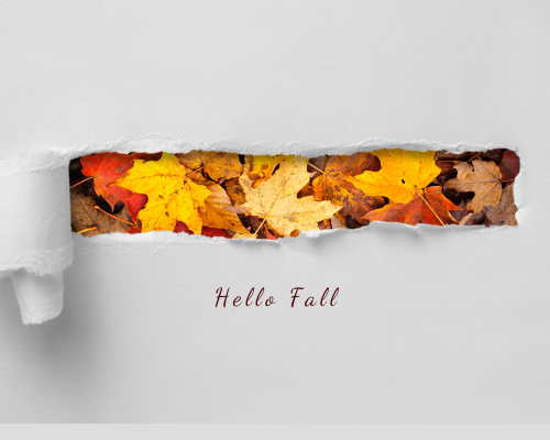 a ripped piece of paper showing fall leaves underneath - words "hello fall"