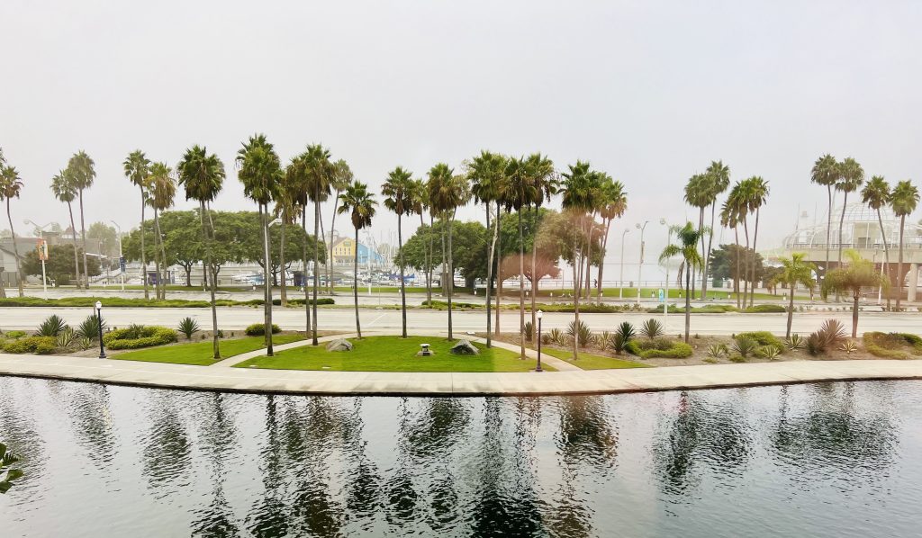 Photo of a small lake set against a green lawn with palm trees. The sky is very foggy.