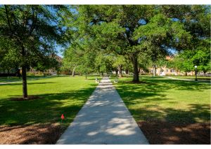 Summer on empty campus