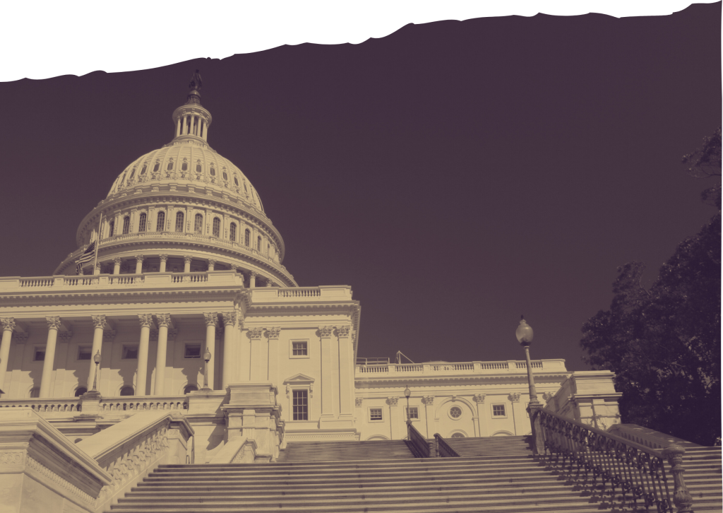 Image of the US Capitol Building