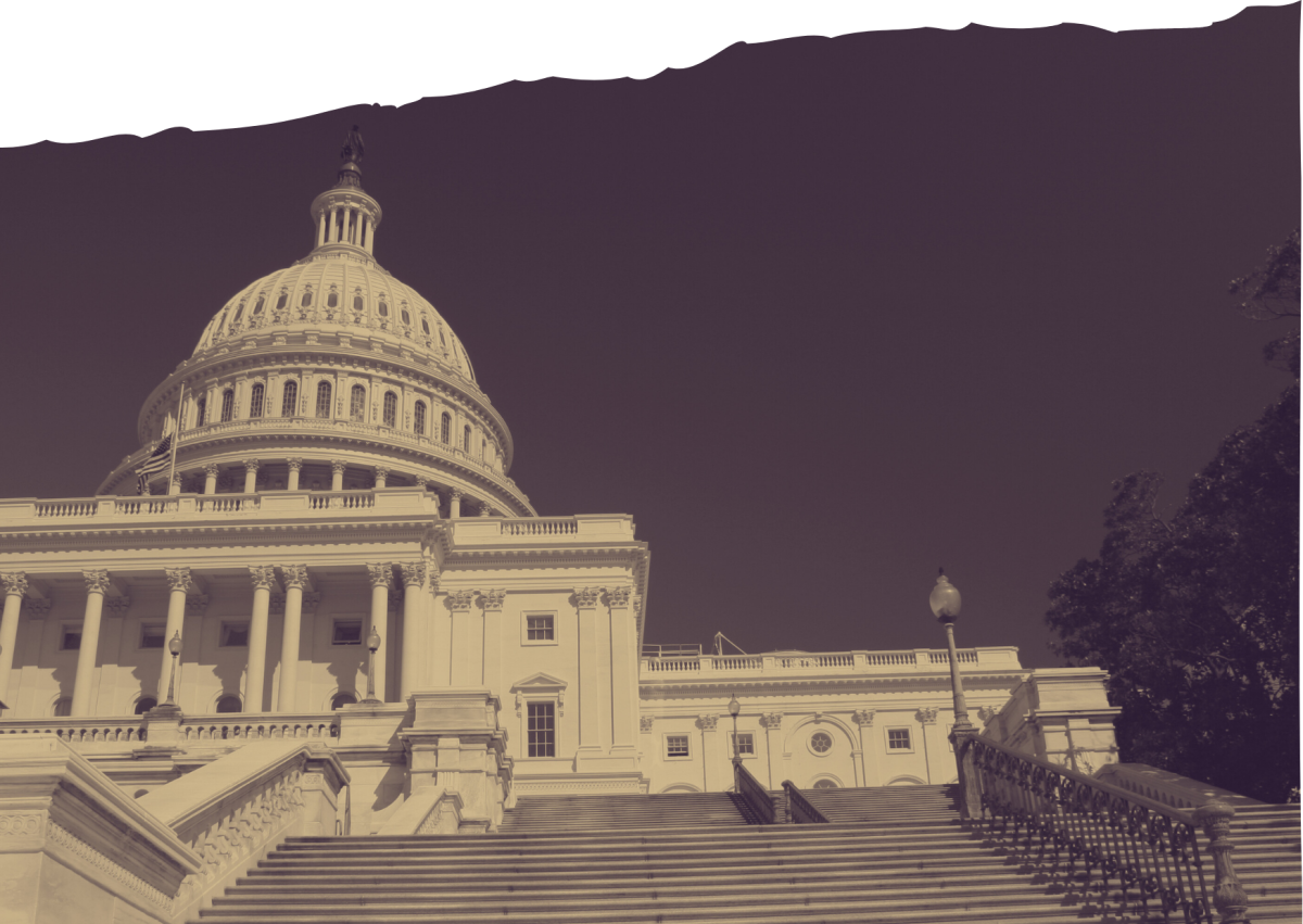 Image of the US Capitol Building