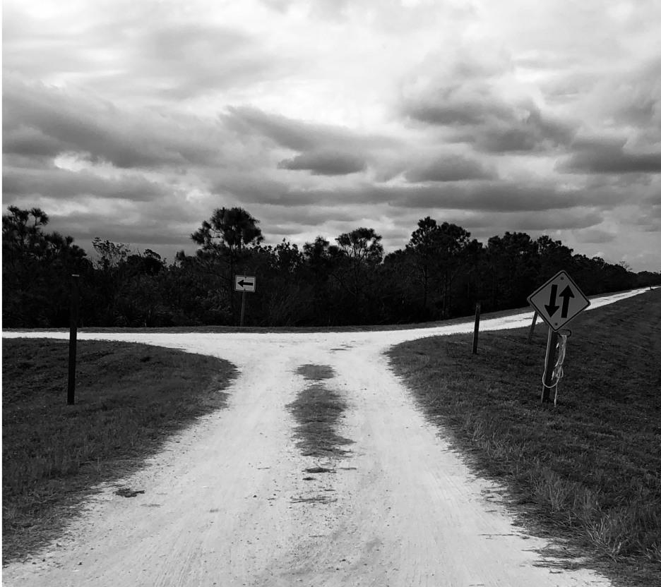 Image of a crossroads - two different paths going different directions.