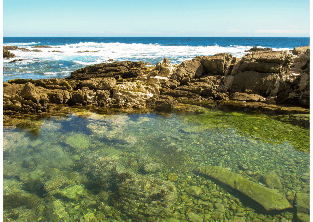 tidepool next to an ocean