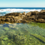 tidepool next to an ocean