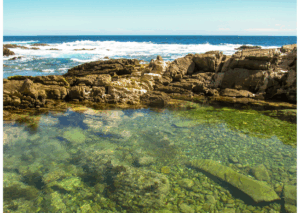tidepool next to an ocean