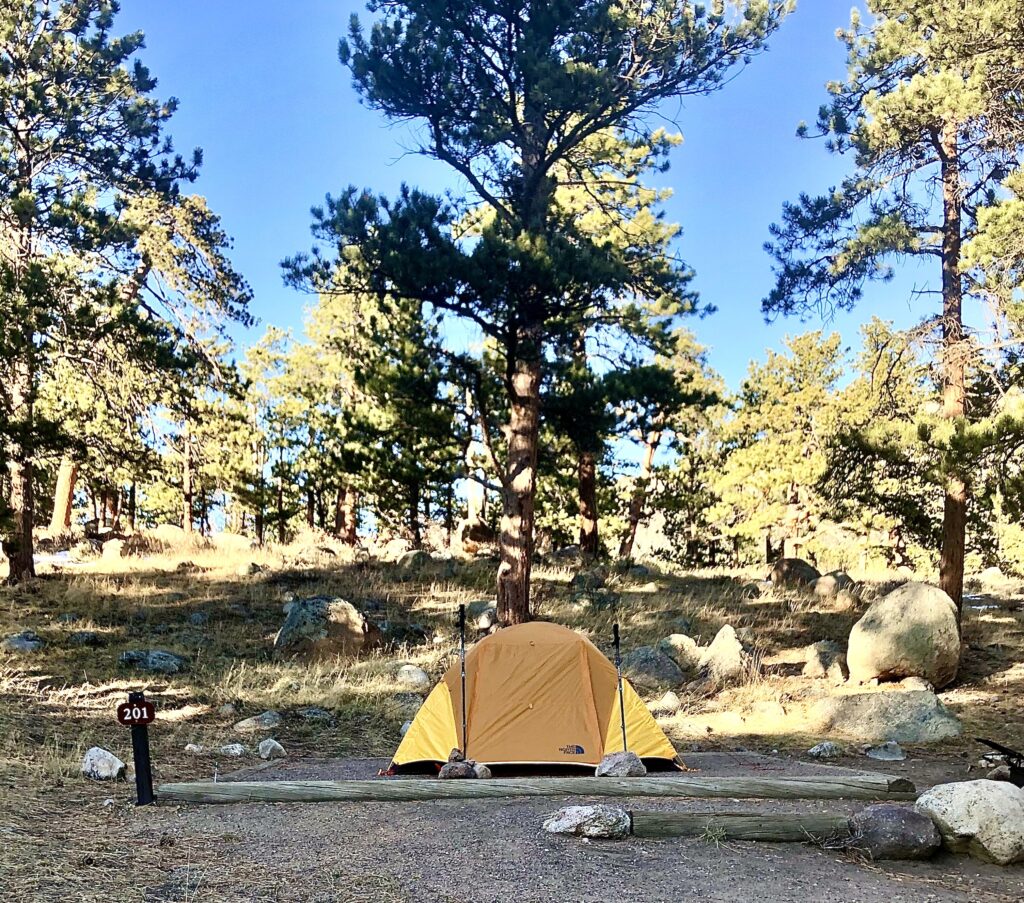a small tent in a forest