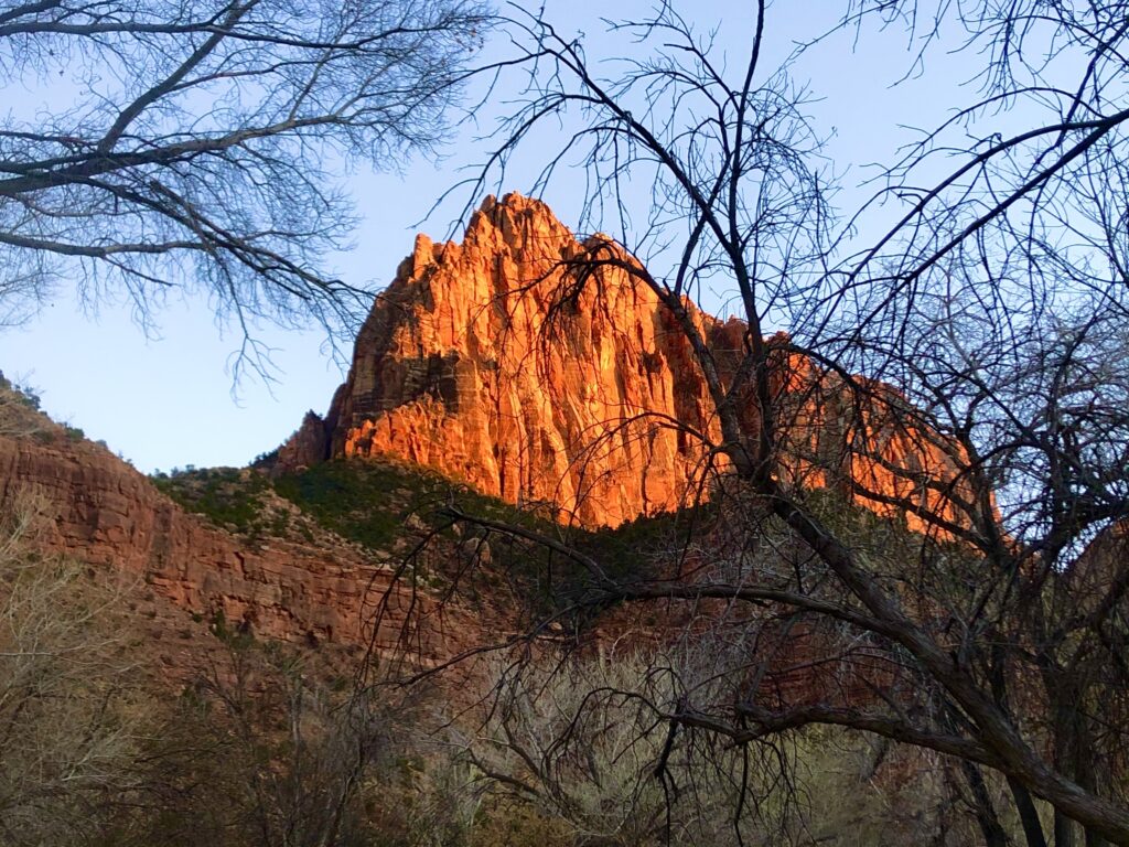 Looking through tree branches at a large cliff face, the rock is an orange-ish color.